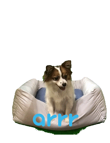 아르르 Sticker by arrr_official