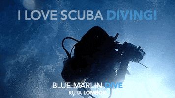 Blue Marlin Dive GIF by BMKL