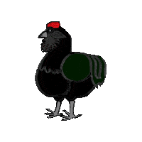Chicken Rooster Sticker
