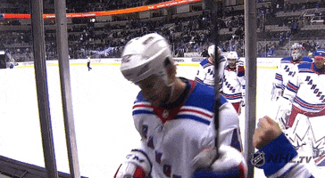 ice hockey friends GIF by NHL