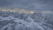 Snow Winter GIF