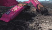 Islas Canarias Cookies GIF by Tirma