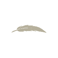 Visithalcyon Sticker by Halcyon Forsyth