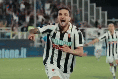 Football Celebrate GIF by Ascoli Calcio 1898