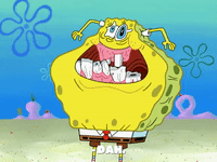 season 8 episode 20 GIF by SpongeBob SquarePants