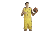 Liga Endesa Basketball Sticker by ACB