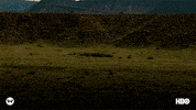 season 2 ad GIF by Westworld HBO