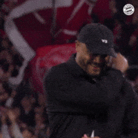 Happy Fans GIF by FC Bayern Munich