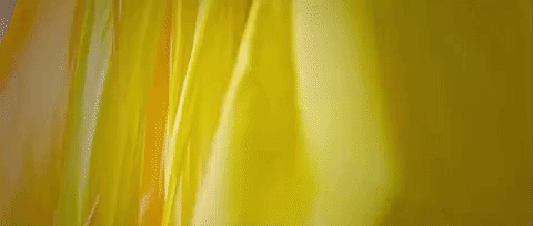 singham returns bollywood GIF
