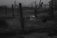 crashthecalm devils crash the calm a town named nowhere dust bowl GIF