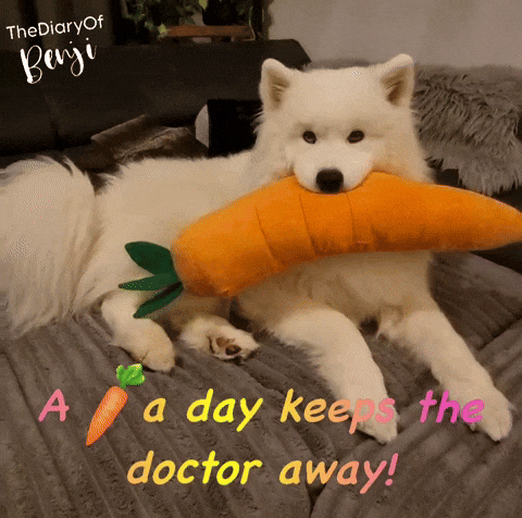 Health Carrot GIF