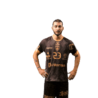 Celebration Handball Sticker by USDK