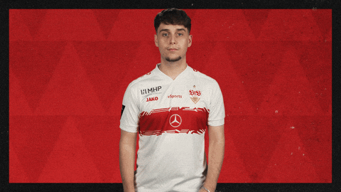 Vfb Stuttgart Applause GIF by Bundesliga