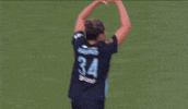 Goalcelebration Hearthand GIF by National Women's Soccer League