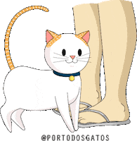 Cat Love Sticker by Porto dos Gatos