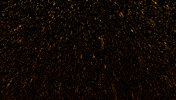 Infinite Loop Rain GIF by CmdrKitten