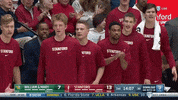 gostanford  GIF