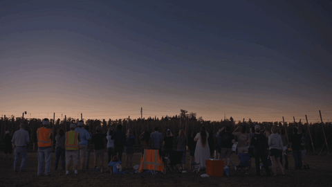 beer GIF by BEERLAND