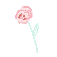 Capachitos rosa flor florcita capachitos Sticker