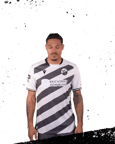 3Liga Wirechtanders GIF by SV Sandhausen