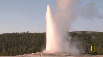 GIF by National Geographic Channel