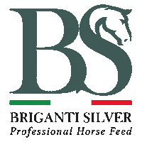 Logo Sticker by Briganti Silver