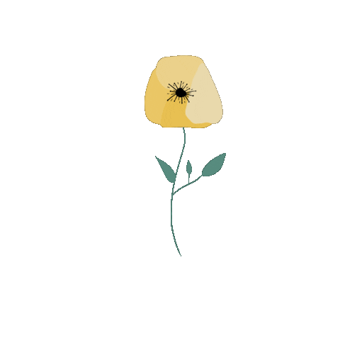 Flowers Wildflowers Sticker by The Hiatus Label