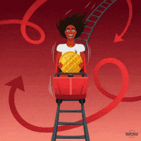 Dropping Roller Coaster GIF by World Of Women
