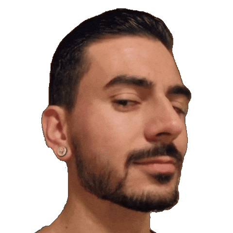 Streamer Suisse Sticker