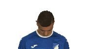Hoffenheim Sticker by Bundesliga