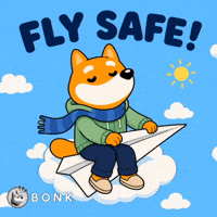 Crypto Solana GIF by BONK