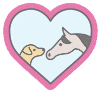 Horse Sticker by dapplebay