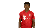Come On Reaction Sticker by Bundesliga