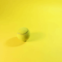 tennis stopmotion animation GIF by Evan Hilton