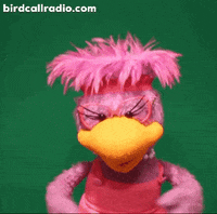 BirdCallRadio sad sexy hug help GIF