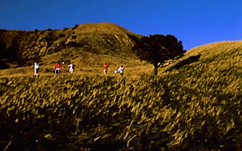 The Top Of The Mountain GIF by BROCKHAMPTON