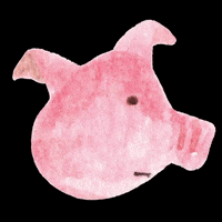 bonbonhuahua pig piglet 豬 小豬 GIF