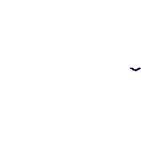 Chauve-Souris Bat Sticker