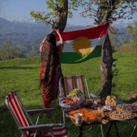 Flag Al GIF