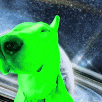Dogs Walter GIF