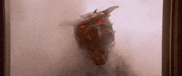 GIF by Ghostbusters 