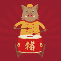 China Happy Chinese New Year GIF by evite