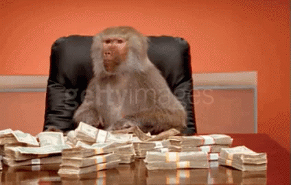 Video gif. A baboon is sitting in a desk chair and there are piles of money on the table in front of them. They throw the stacks of bills up in the air and watch the bills fall. 