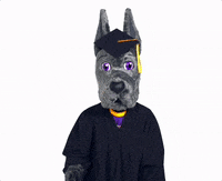 Grad GIF by UAlbany