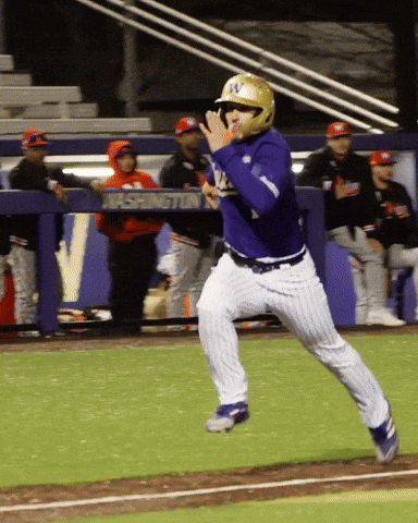 GIF by Washington Athletics