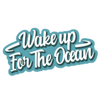 Wakeup Oceana Sticker by Bialetti
