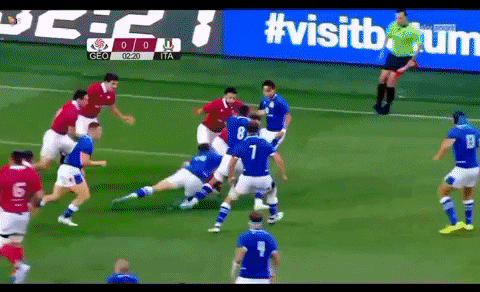 lorenzocalamai giphyupload GIF