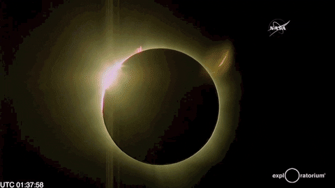 total eclipse sun GIF by NASA's Goddard Space Flight Center
