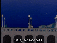 Season 1 Episode 3 GIF by The Simpsons