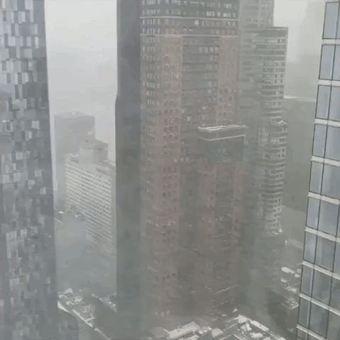 'Snowpocalypse': Central Park Coated in White as Winter Storm Hits New York